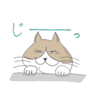 美猫に遠慮なし（個別スタンプ：11）