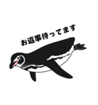 ペンギン！（個別スタンプ：6）
