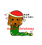 クリスマススタンプ（ペットばっかり）（個別スタンプ：6）