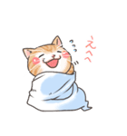 たおるネコ（個別スタンプ：17）