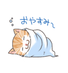 たおるネコ（個別スタンプ：34）