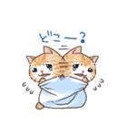 たおるネコ（個別スタンプ：39）