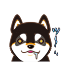 柴専（柴犬専用）（個別スタンプ：37）
