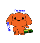 トイプードルのトミー（個別スタンプ：5）