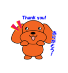 トイプードルのトミー（個別スタンプ：6）