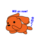 トイプードルのトミー（個別スタンプ：8）