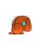 トイプードルのトミー（個別スタンプ：13）