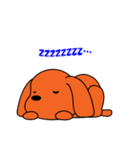 トイプードルのトミー（個別スタンプ：15）