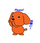 トイプードルのトミー（個別スタンプ：21）