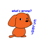 トイプードルのトミー（個別スタンプ：22）