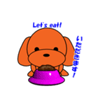 トイプードルのトミー（個別スタンプ：28）