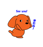 トイプードルのトミー（個別スタンプ：30）