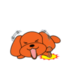 トイプードルのトミー（個別スタンプ：37）