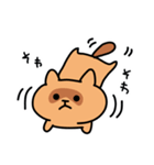 たぬきん（個別スタンプ：1）
