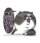 媚びないもっちりネコ「野良ドラ雄」（個別スタンプ：26）