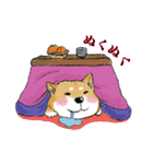 柴わんこ（個別スタンプ：20）