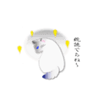 サプリと仲間たち 2（個別スタンプ：27）