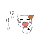 ぺたんこにゃんこ（個別スタンプ：7）