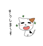 ぺたんこにゃんこ（個別スタンプ：32）