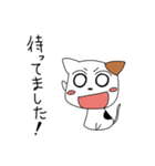 ぺたんこにゃんこ（個別スタンプ：33）