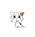 ぺたんこにゃんこ（個別スタンプ：34）