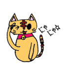 だるまねこ (=ↀωↀ=)✧①（個別スタンプ：34）