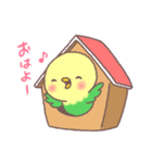 ぴよぴよインコ（個別スタンプ：1）
