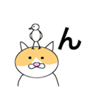 猫のコメタ（個別スタンプ：16）