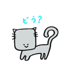 しかくいねこ（個別スタンプ：24）