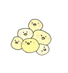 ぴよこライフ（個別スタンプ：16）