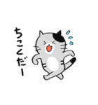 ざ・ねこちゃんず（個別スタンプ：3）