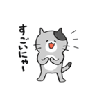 ざ・ねこちゃんず（個別スタンプ：15）