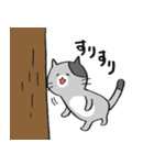 ざ・ねこちゃんず（個別スタンプ：29）