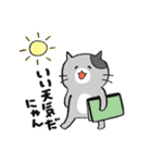 ざ・ねこちゃんず（個別スタンプ：39）
