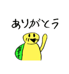 カメちゃん（個別スタンプ：37）