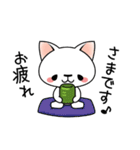 しろ猫たまさん（個別スタンプ：4）