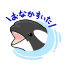 海の生き物スタンプ（個別スタンプ：19）