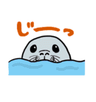 海の生き物スタンプ（個別スタンプ：23）