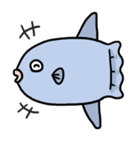 海の生き物スタンプ（個別スタンプ：39）