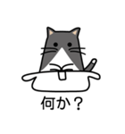 袋猫「ぷく」～レジ袋が好き！（個別スタンプ：1）