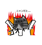 袋猫「ぷく」～レジ袋が好き！（個別スタンプ：24）