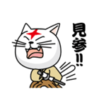 もののふ猫（個別スタンプ：1）