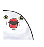 もっちり文鳥～君は天使それとも小悪魔！？（個別スタンプ：31）