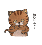 トラ猫 『ニャーゴ』（個別スタンプ：7）