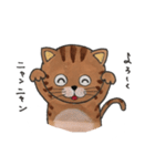 トラ猫 『ニャーゴ』（個別スタンプ：9）
