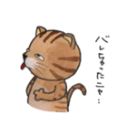 トラ猫 『ニャーゴ』（個別スタンプ：34）