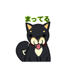 猫と犬の待ち合わせ（個別スタンプ：20）