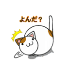 猫と犬の待ち合わせ（個別スタンプ：30）