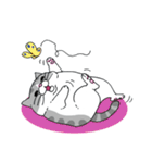 まんまるにゃんた（個別スタンプ：9）
