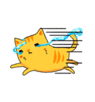 黄色の猫をタビー（個別スタンプ：35）
